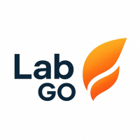 Aula Virtual LabGo